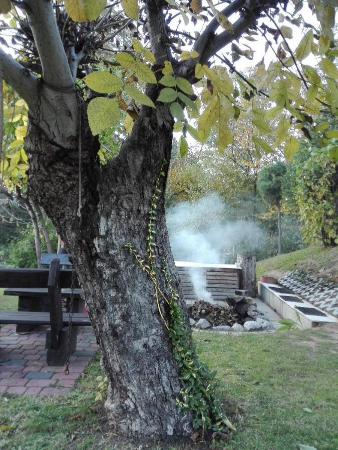 Apartament Leszczynowa 7 Blisko Zatora Spytkowice  Dış mekan fotoğraf