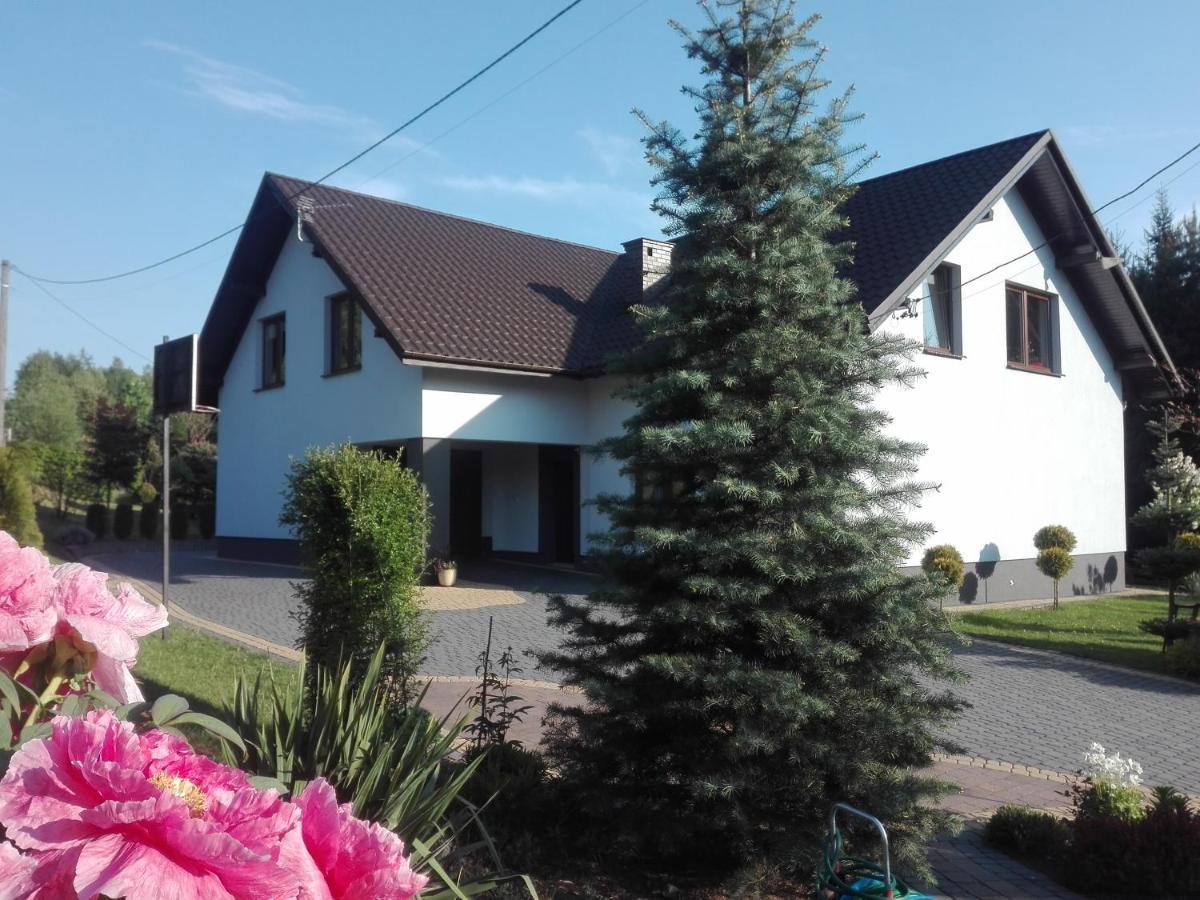 Apartament Leszczynowa 7 Blisko Zatora Spytkowice  Dış mekan fotoğraf