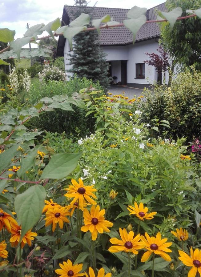 Apartament Leszczynowa 7 Blisko Zatora Spytkowice  Dış mekan fotoğraf